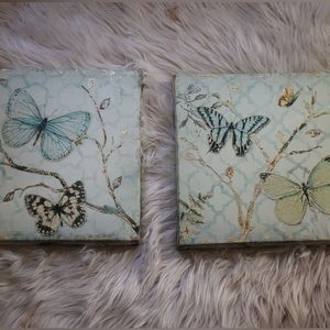 Butterfly canvases